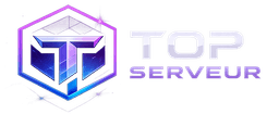 Top Serveur